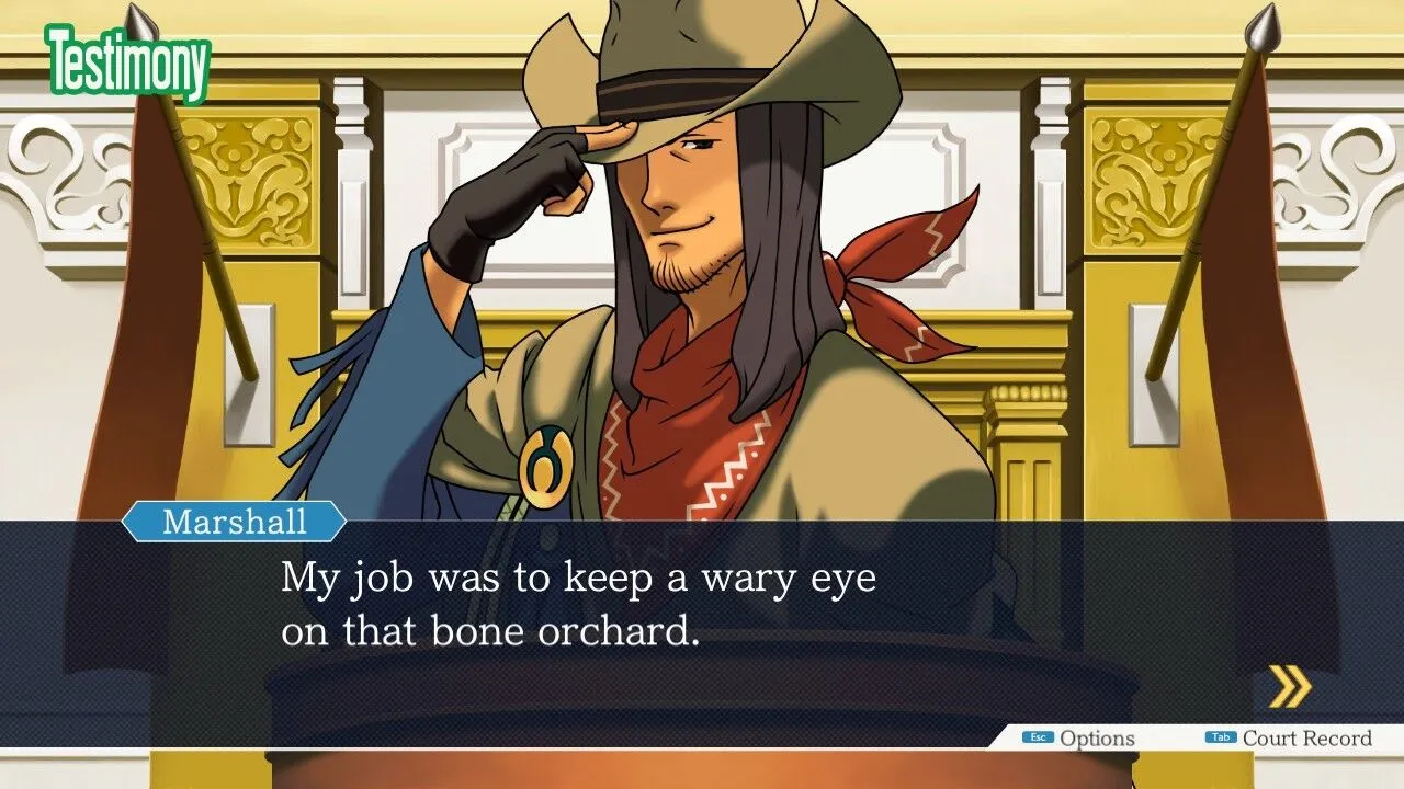 Ace Attorney Anthologie (PC Steam Schlüssel – Global)