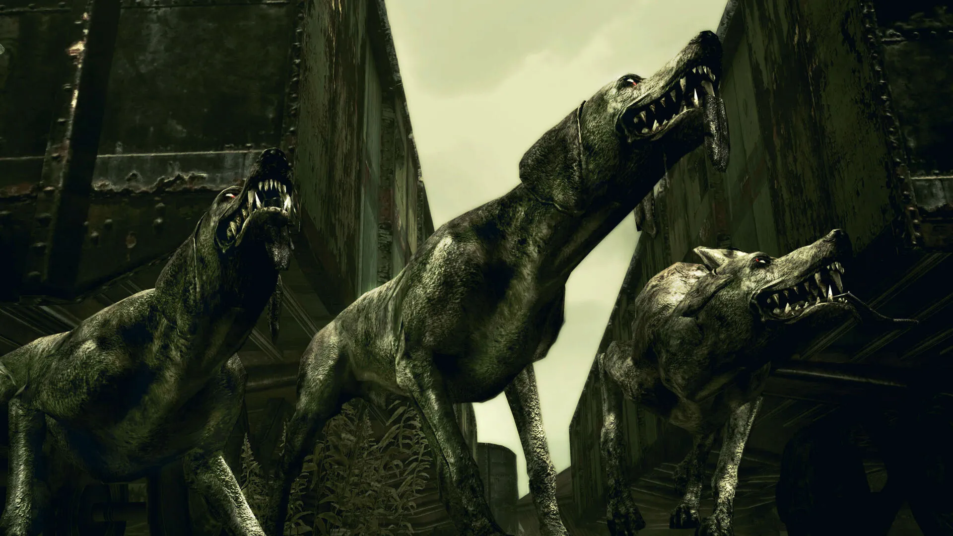 Resident Evil 5 Gold Edition (PC Steam Key - Europe)