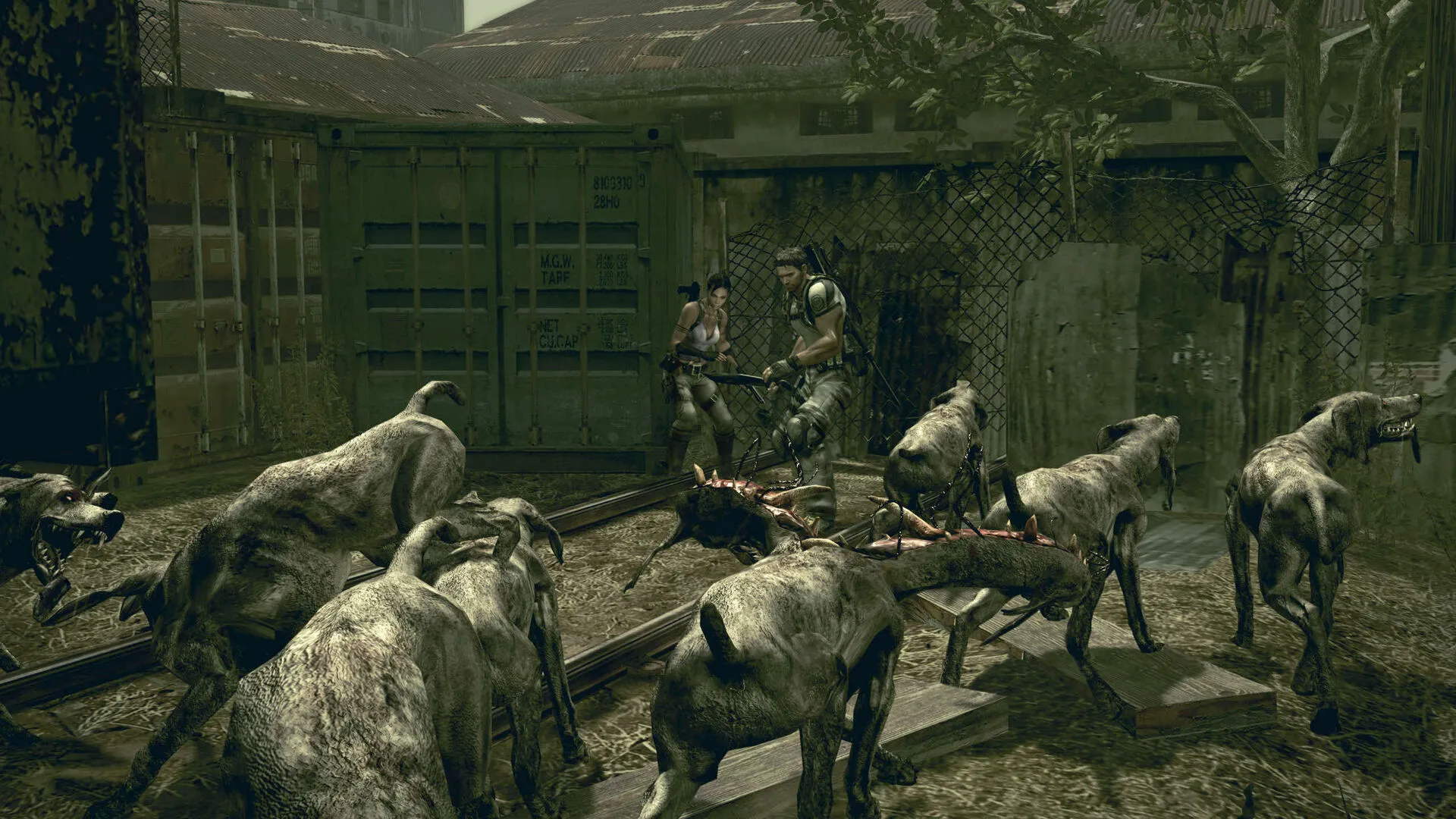 Resident Evil 5 Gold Edition (PC Steam Key - Europe)