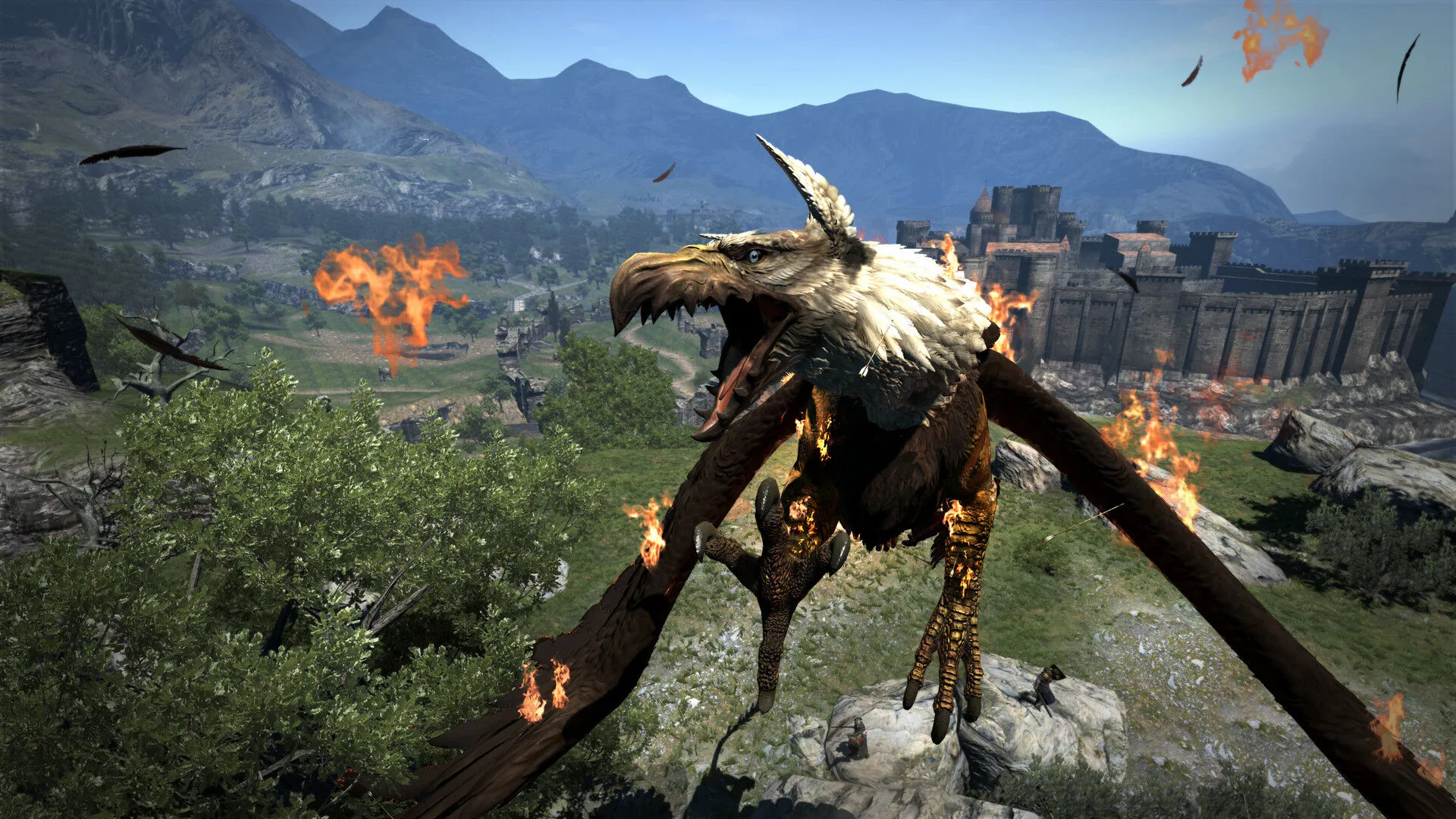 Dragon's Dogma: Dark Arisen (PC Steam Key - North America)