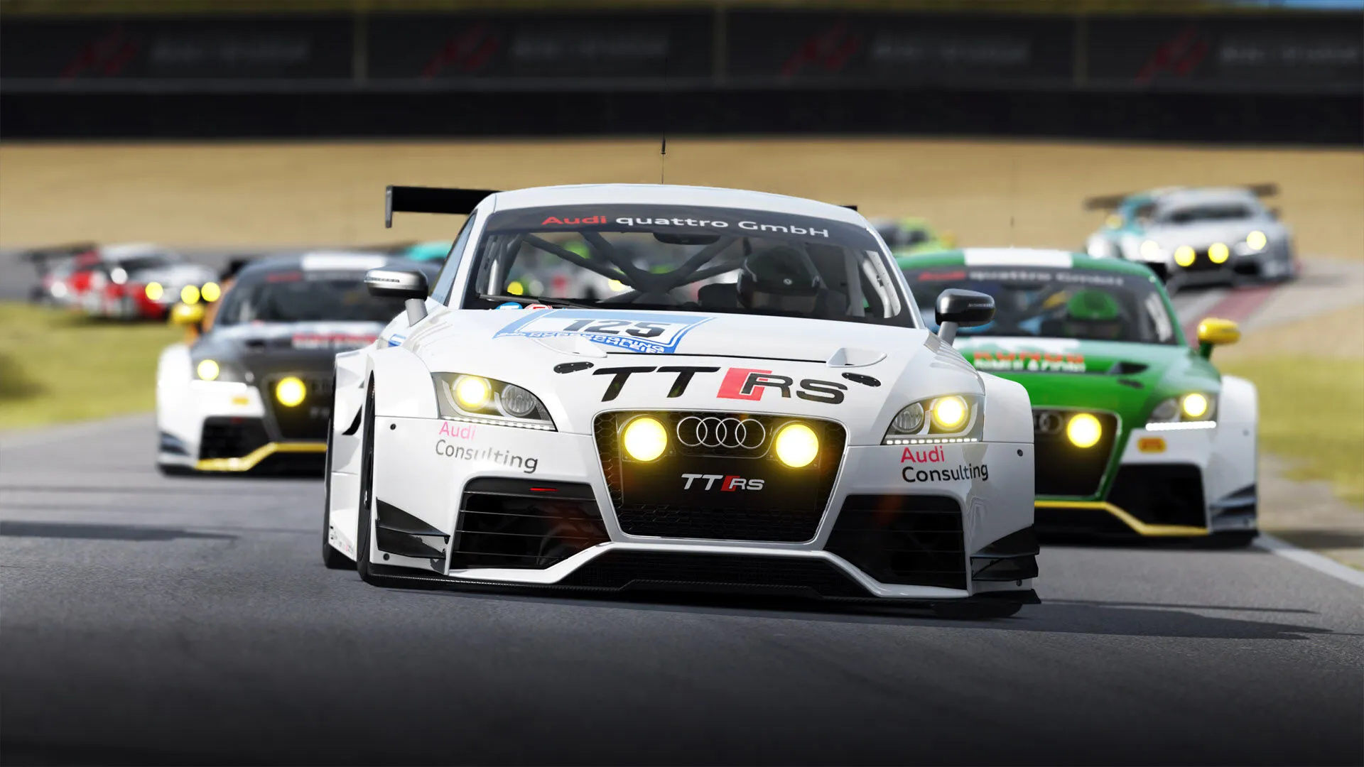 Assetto Corsa Ultimate Έκδοση (Κλειδί για PC Steam / Global έκδοση)