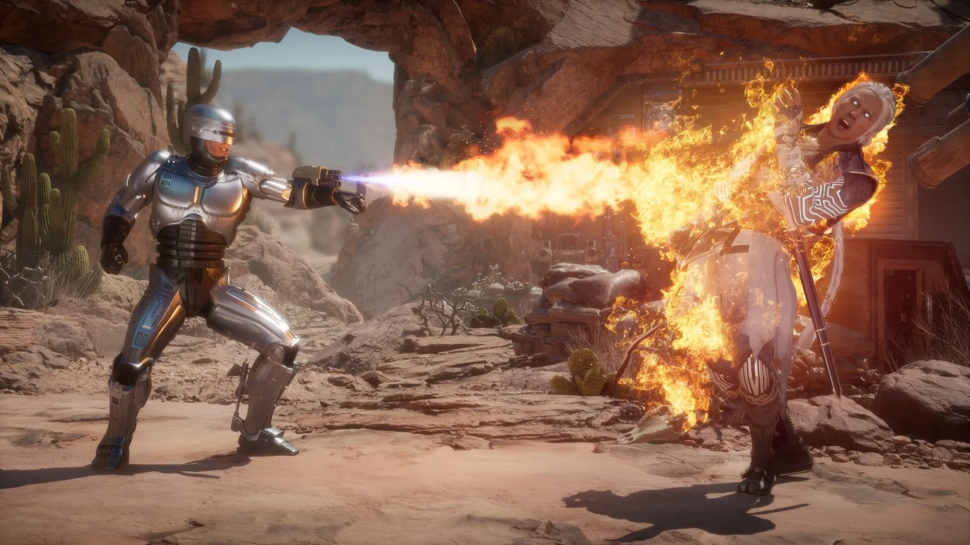 Mortal Kombat 11: Aftermath (PC Steam Key - Global)