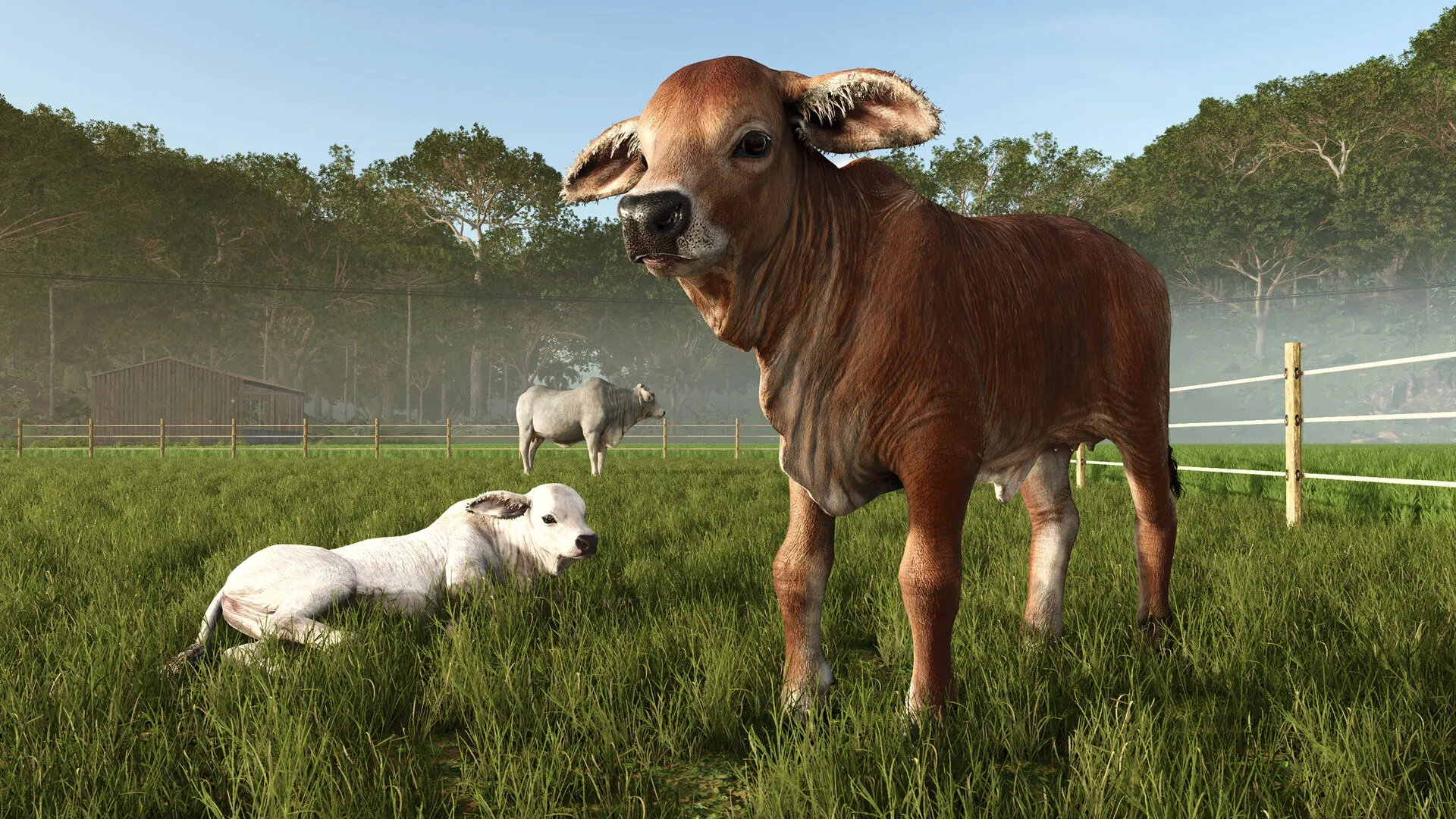 Farming Simulator 25: Expansão «Feijões e Alpacas» (Chave PC Steam - Global)