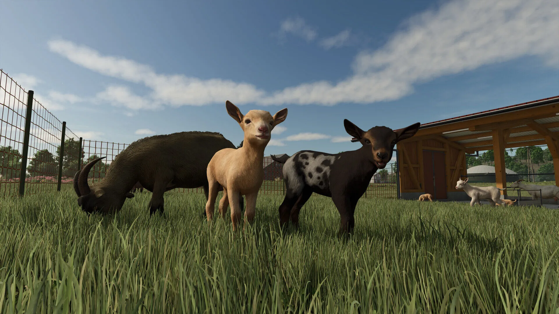 Farming Simulator 25: Highlands Fishing Edition (PC Steam Key - Global)