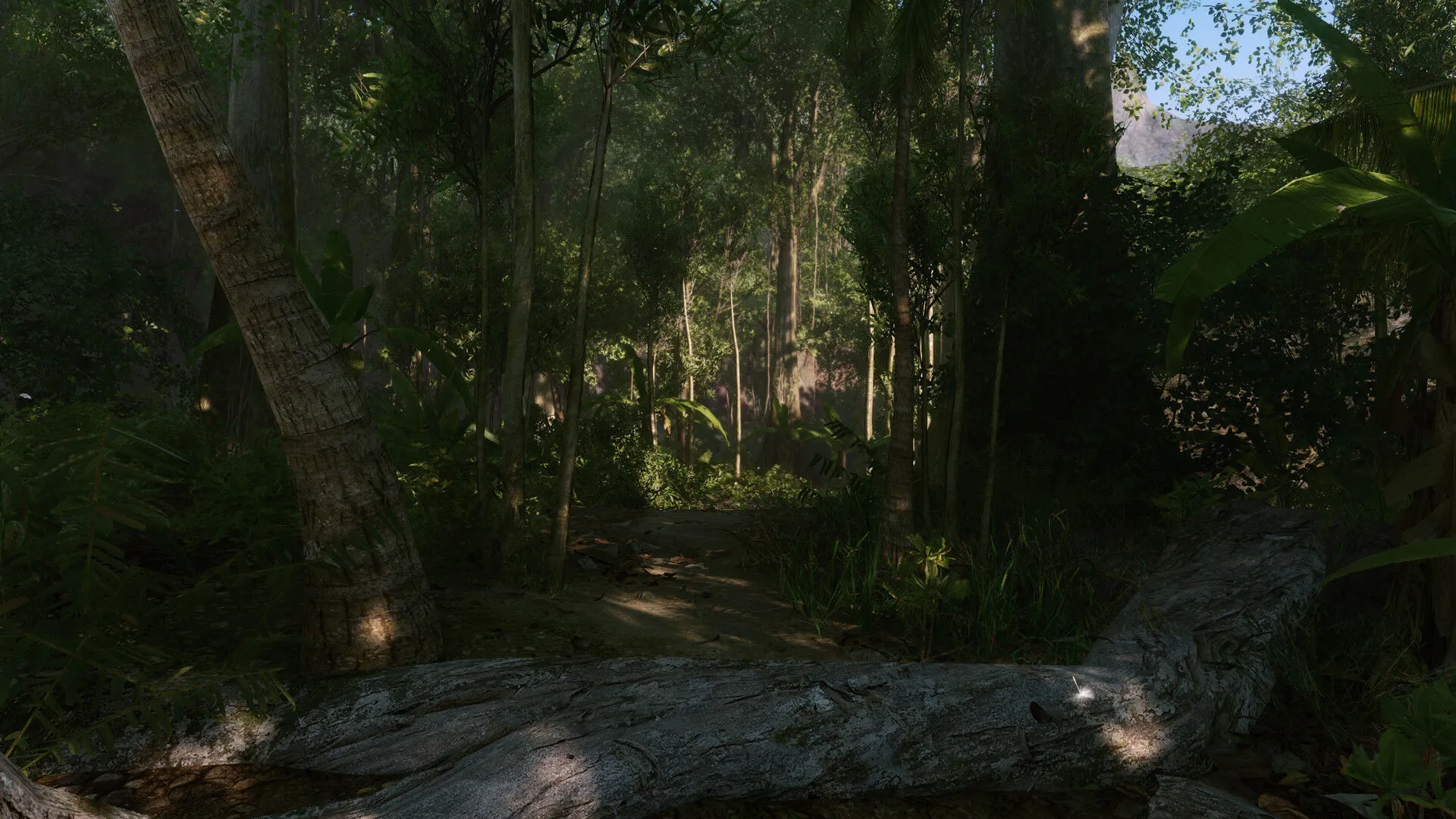 Crysis Remastered (PC Steam Key - Global)