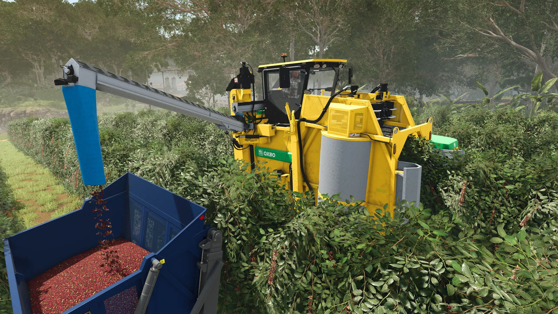 Farming Simulator 25: Beans and Alpacas Edition (PC Steam Key - Global)