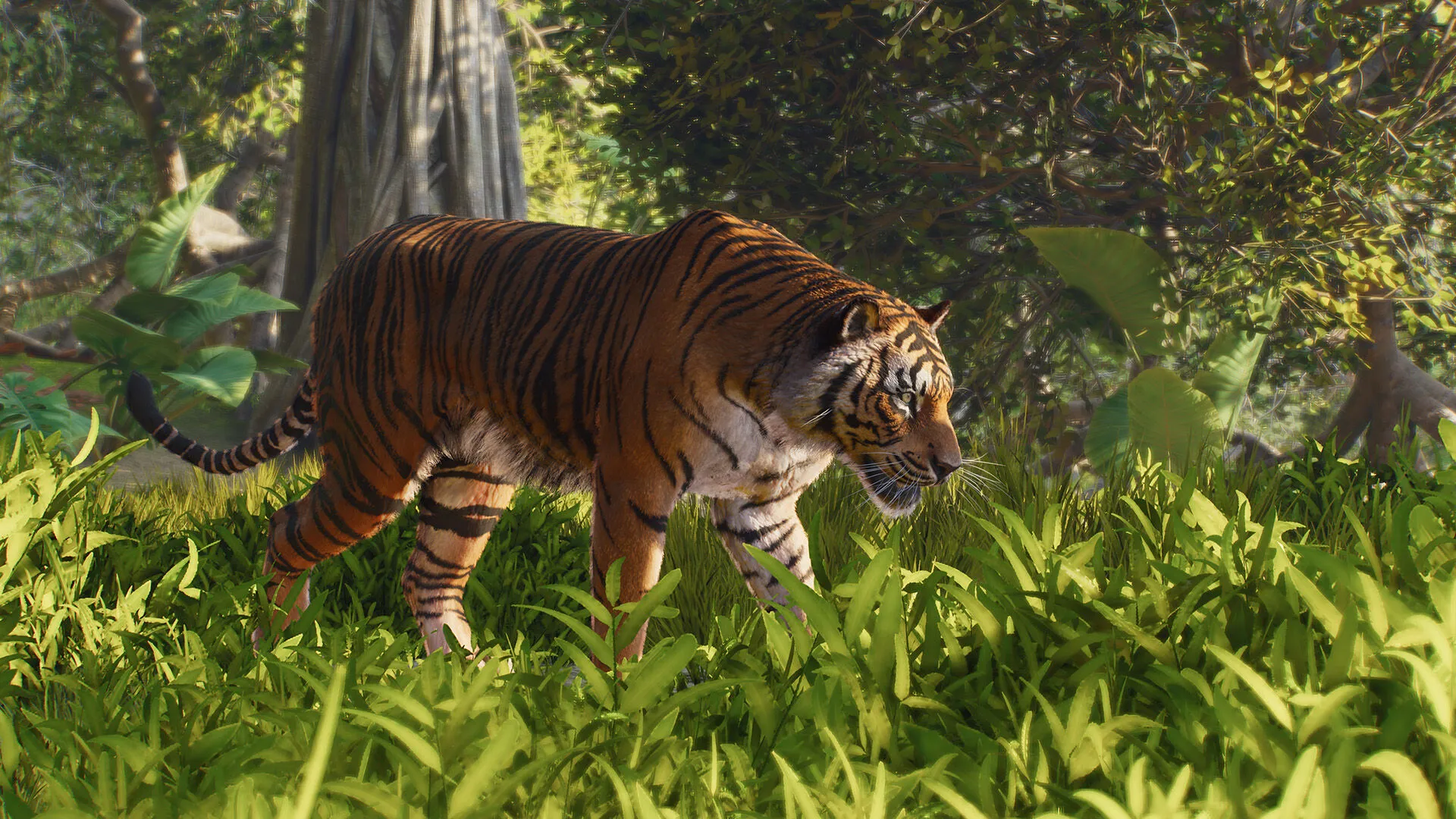 Planet Zoo 2: Deluxe Edition (PC Steam Key - Global)