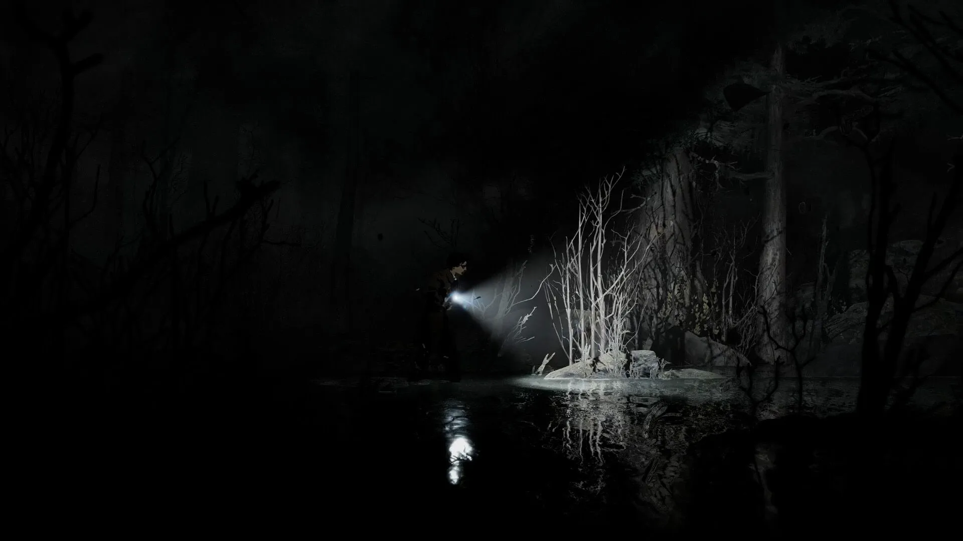 Silver Pines (PC Steam Key - Global)