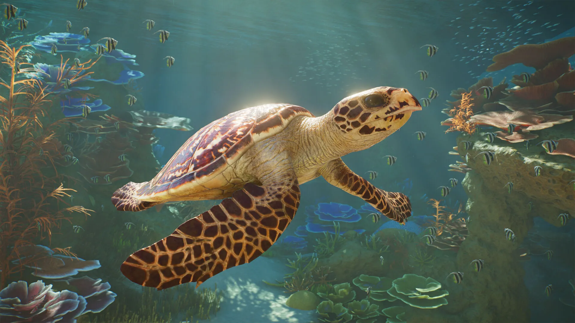 Planet Zoo 2: Deluxe Edition (PC Steam Key - Middle-East)- Pre-Order