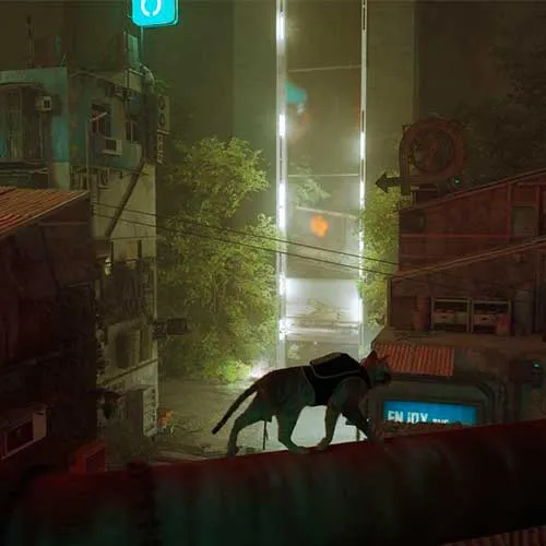 Stray (Xbox Key / Global)