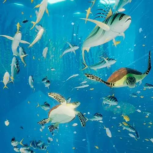 Abzu (PC Steam Key / Global)