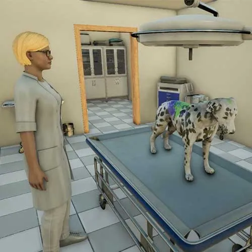 Animal Doctor (PC Steam Key / Global)