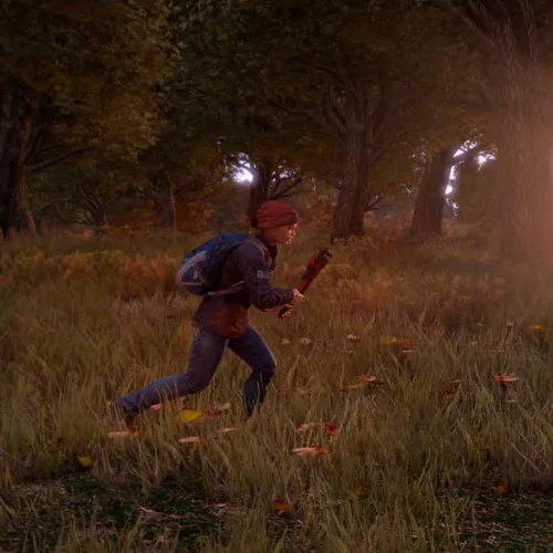 DayZ Standalone (PC Steam Key / Global)