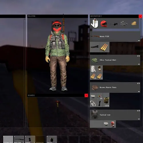 DayZ Standalone (PC Steam Key / Global)