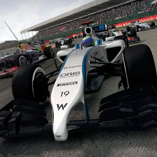 F1 2014 (PC Steam Key / Global)