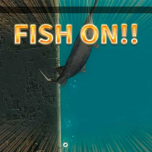 Legendary Fishing Nintendo Switch Avrupa (PC Steam Anahtarı / Avrupa)