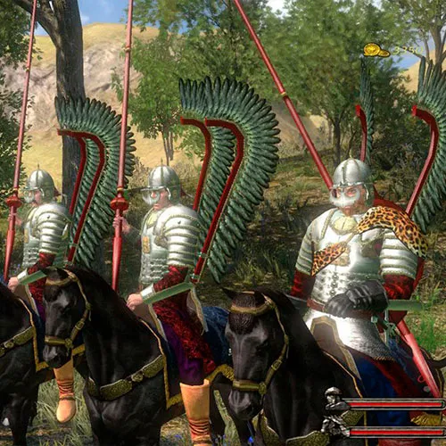 Mount & Blade With Fire and Sword Wild Fields G (PC Steam Key / Global)