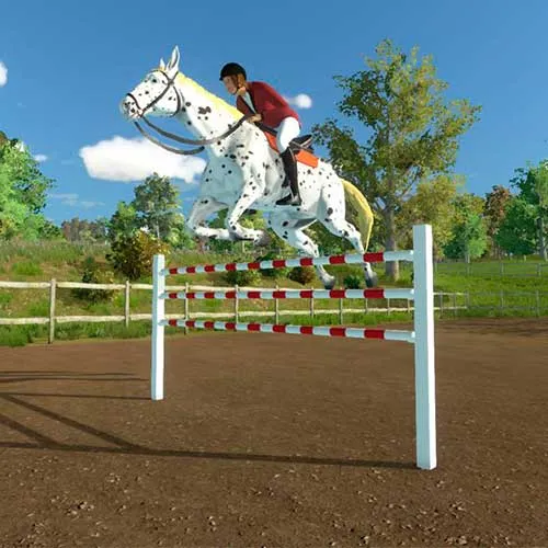 My Little Riding Champion (PC Steam Key / Global)