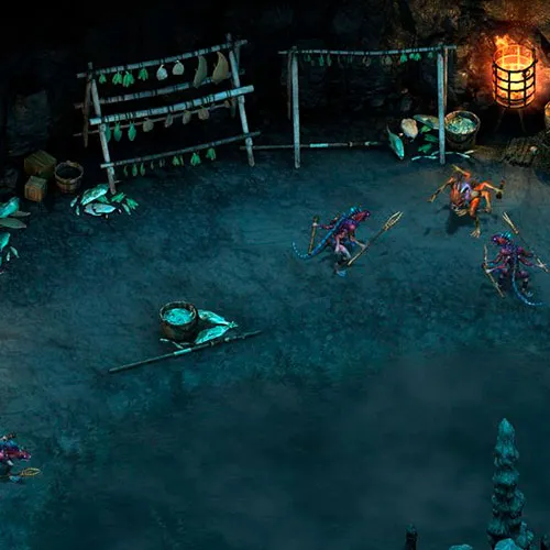 Pillars of Eternity - The White March Part 1 DLC Gl (PC Steam Key / Global)