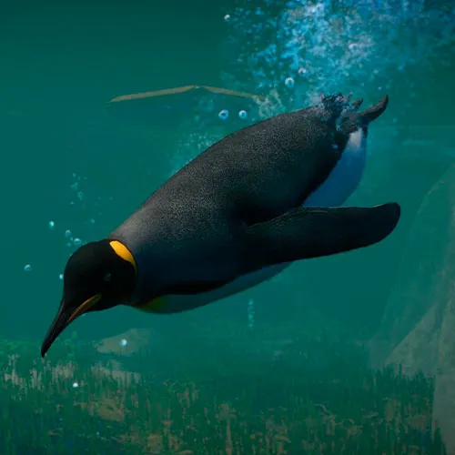 Planet Zoo: Aquatic Pack DLC (PC Steam Key / Global)
