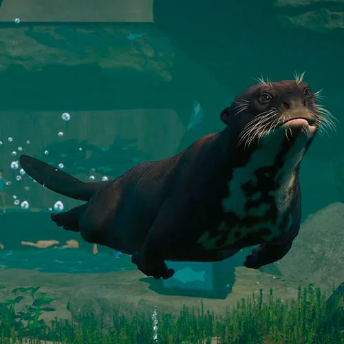 Planet Zoo: Aquatic Pack DLC (PC Steam Key / Global)