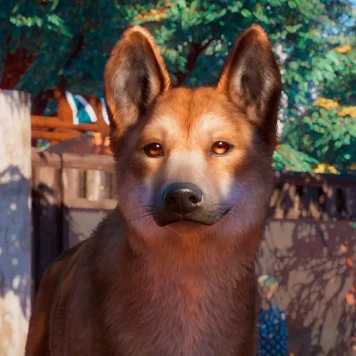 Planet Zoo: Australia Pack DLC (PC Steam Key / Global)
