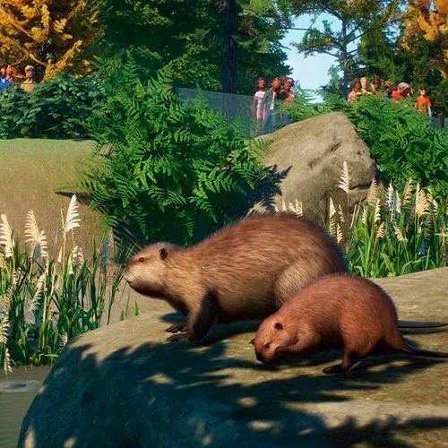 Planet Zoo: North American Animal Pack DLC (PC Steam Key / Global)