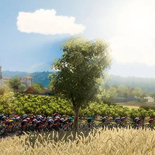 Pro Cycling Manager 2018 (PC Steam Key / Global)