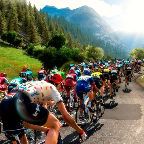 Pro Cycling Manager 2018 (PC Steam Key / Global)