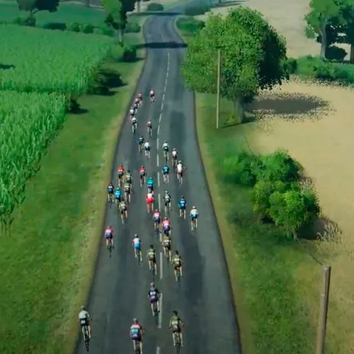 Pro Cycling Manager 2021 (PC Steam Key / Global)