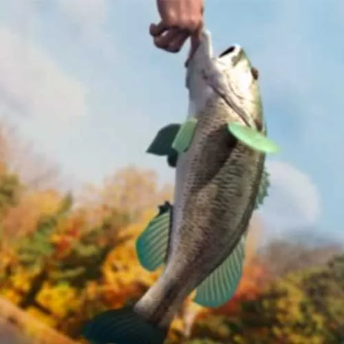 Rapala Fishing Pro Serisi Nintendo Switch Avrupa (Nintendo Switch Anahtar / Avrupa)