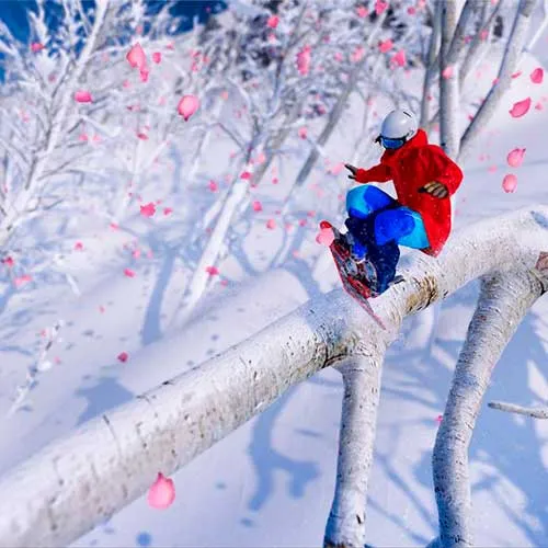 Steep - Road to the Olympics DLC (Κωδικός ενεργοποίησης για PC μέσω Ubisoft Connect / Global έκδοση)