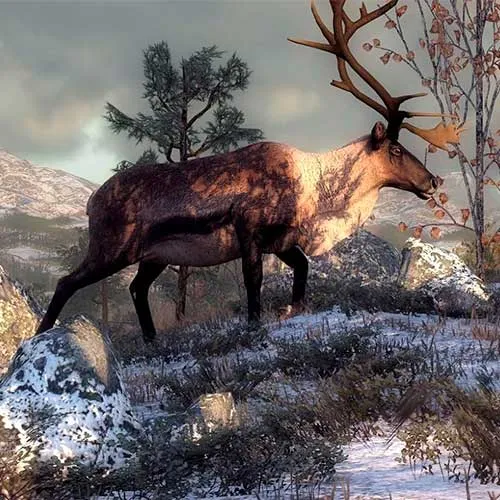 The Hunter 2016: Pathfinder Starter Pack (PC Steam Key / Global)