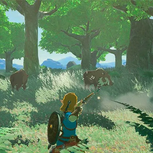 بطاقة التوسعة التاسعة لـ «The Legend of Zelda: Breath of the Wild» (Nintendo Switch Key / أوروبا)