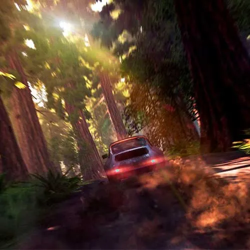 V-Rally 4 Nintendo Switch Avrupa (Nintendo Switch Anahtar / Avrupa)