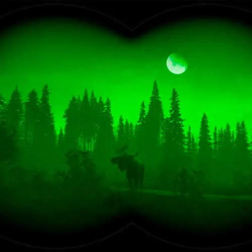 theHunter Call of the Wild - Pack de armas «Smoking Barrels» DLC (Clave para PC Steam / Global)