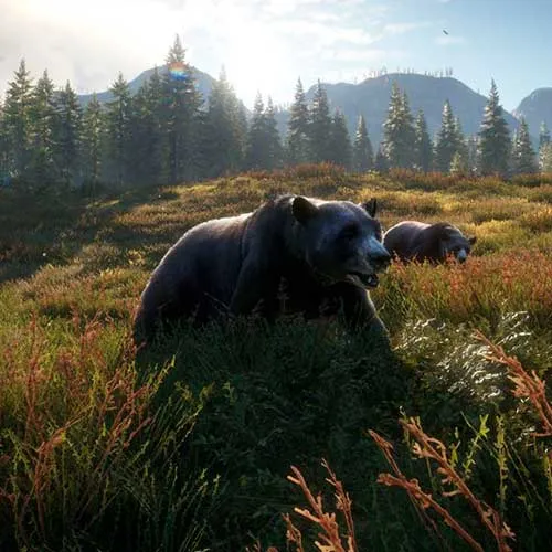 theHunter Call of the Wild - ATV SABER 4X4 DLC Glob (PC Steam Key / Global)