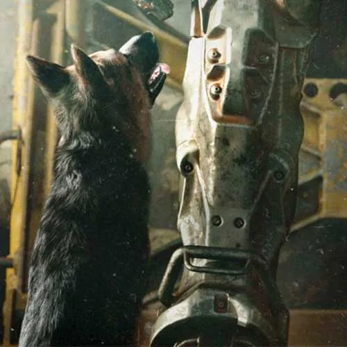 Season Pass για το Fallout 4 (Κωδικός PC Steam / Global έκδοση)
