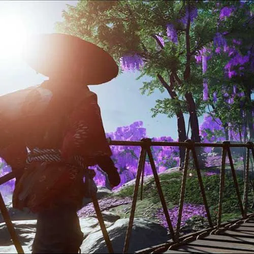 Ghost of Tsushima DIRECTOR'S CUT (PC Steam Key / Global)