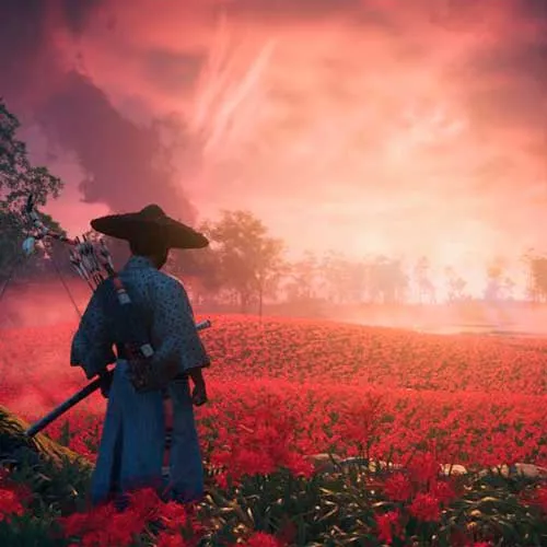Ghost of Tsushima DIRECTOR'S CUT (PC Steam Key / Global)