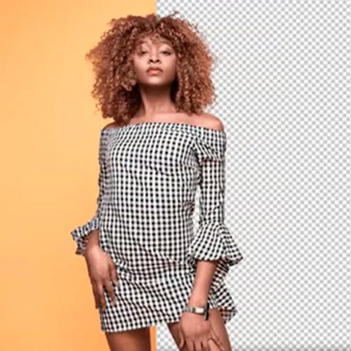 Pinnacle InPixio Photo Studio 10 Ultimate (Windows) (Lebenslange Lizenz / Global)