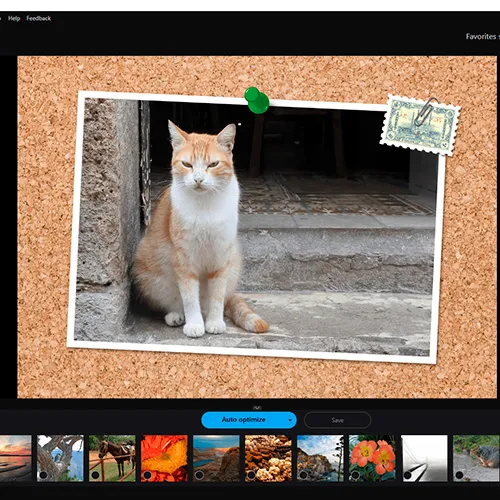 Ashampoo Photo Optimizer 10 (Windows) (Lifetime License / Global)
