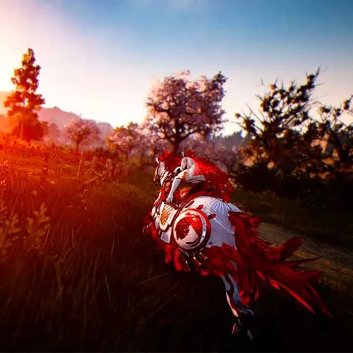 Black Desert Online Gift Key (PC Steam Key / Global)