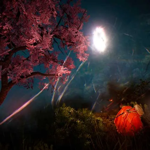 Black Desert Online Gift Key (PC Steam Key / Global)