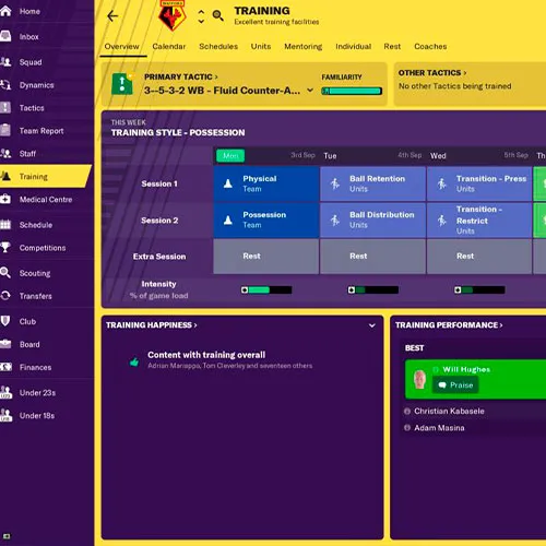 Football Manager 2019 (PC Steam Key / Global)