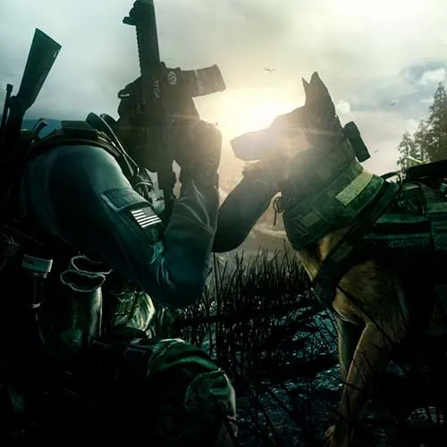 Call of Duty: Ghosts (PC Steam Key / Global)