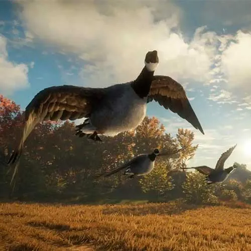 The Hunter Call of the Wild 2019 Edition (PC Steam Key / Europe)