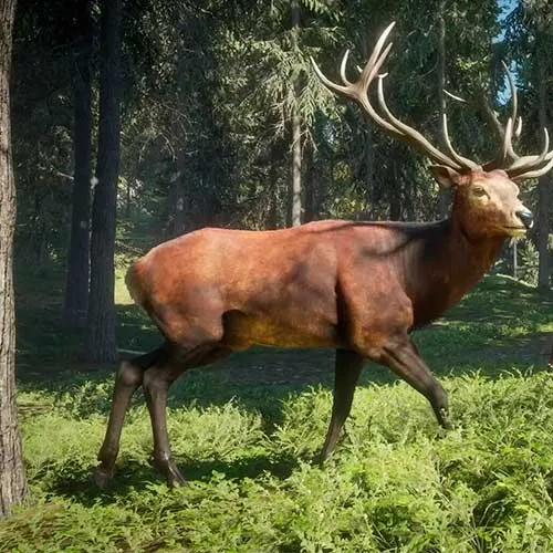 The Hunter Call of the Wild 2019 Edition (PC Steam Key / Europe)