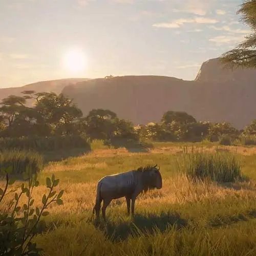 The Hunter Call of the Wild 2019 Edition (PC Steam Key / Europe)