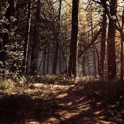 Blair Witch (PC Steam Key / Global)